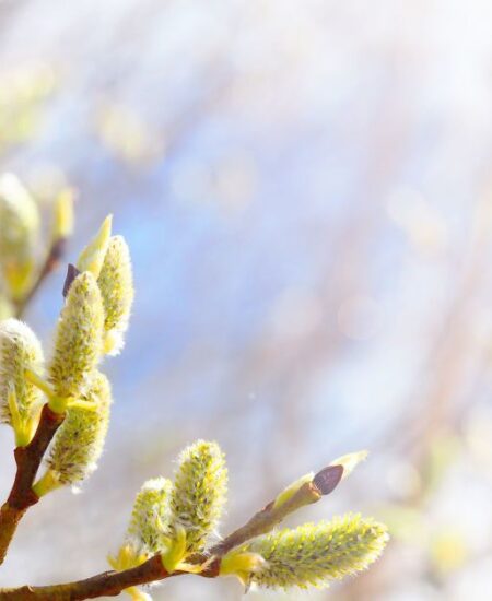 Могилів-Подільський Онлайн