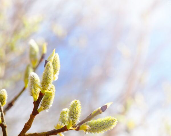 Могилів-Подільський Онлайн