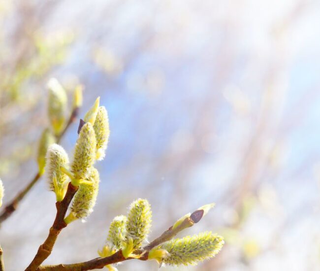 Могилів-Подільський Онлайн