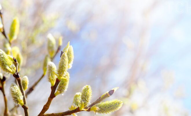 Могилів-Подільський Онлайн