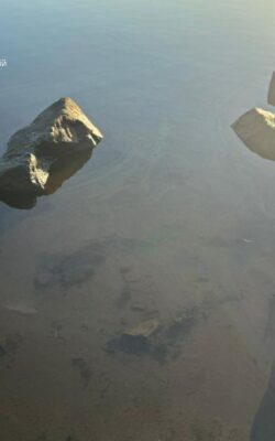 Могилів-Подільський Онлайн