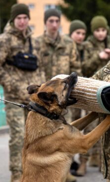 Могилів-Подільський Онлайн