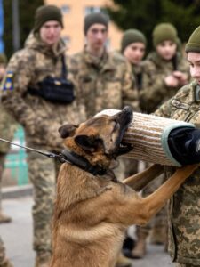 Могилів-Подільський Онлайн