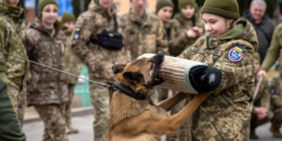 Могилів-Подільський Онлайн