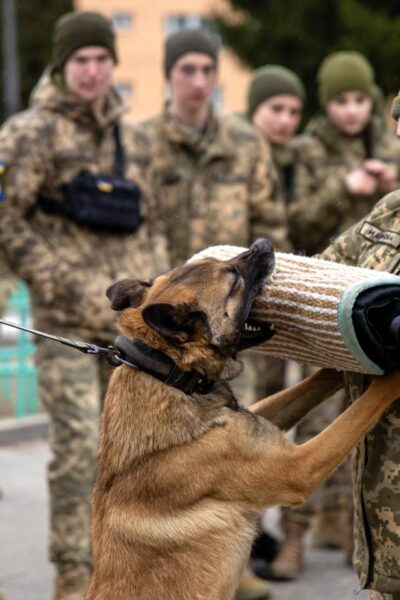 Могилів-Подільський Онлайн