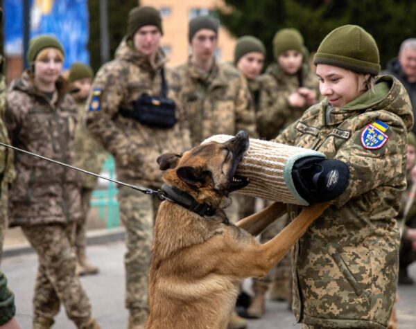 Могилів-Подільський Онлайн
