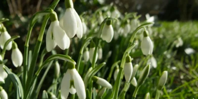 Могилів-Подільський Онлайн