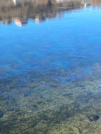 Могилів-Подільський Онлайн