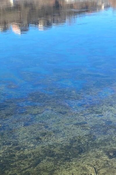 Могилів-Подільський Онлайн