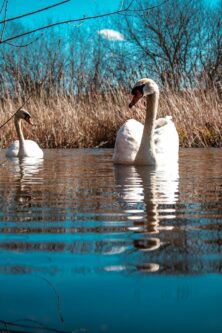 Могилів-Подільський Онлайн