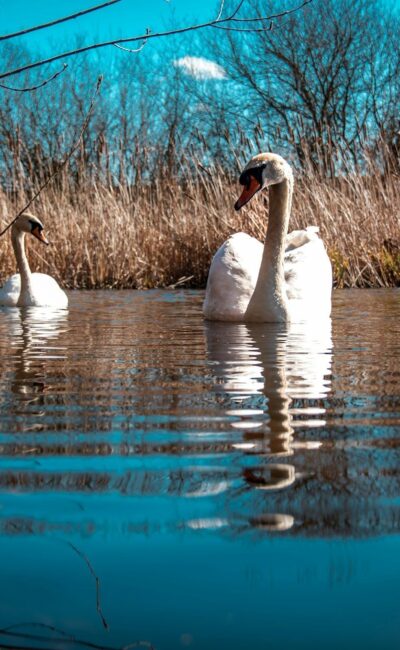 Могилів-Подільський Онлайн