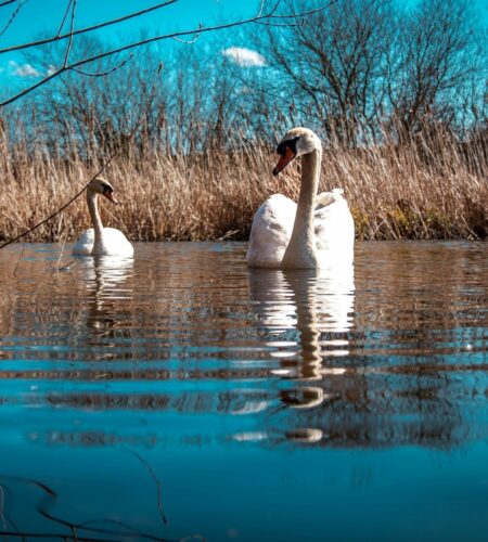 Могилів-Подільський Онлайн