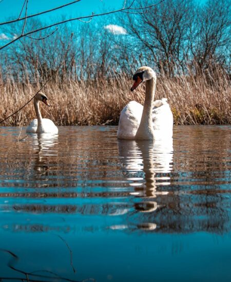 Могилів-Подільський Онлайн