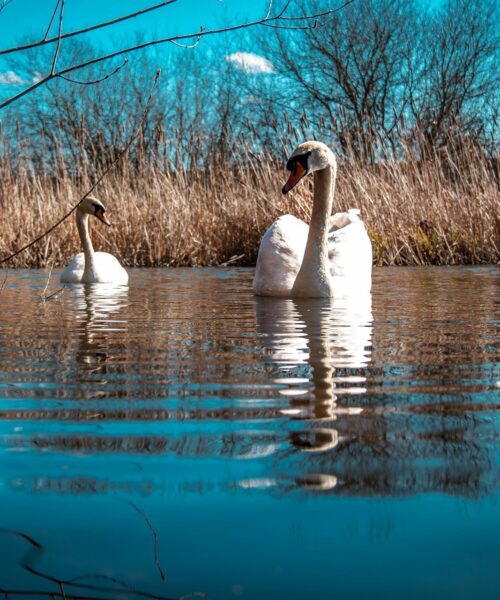 Могилів-Подільський Онлайн