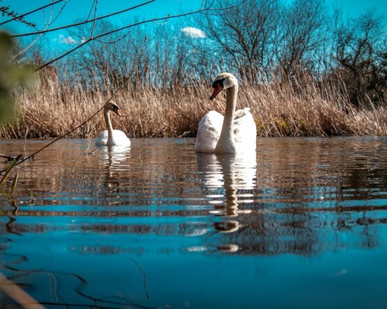 Могилів-Подільський Онлайн