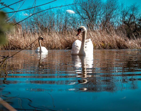 Могилів-Подільський Онлайн