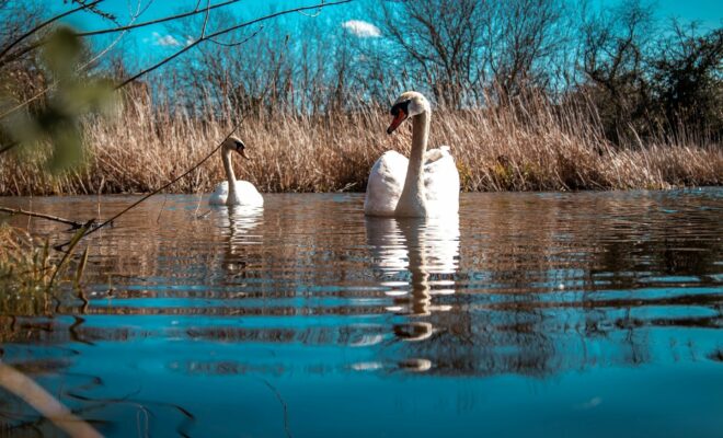 Могилів-Подільський Онлайн