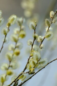 Могилів-Подільський Онлайн