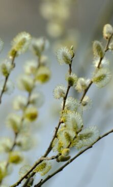 Могилів-Подільський Онлайн