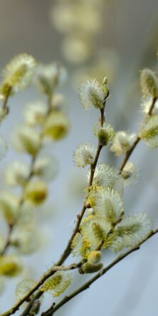 Могилів-Подільський Онлайн