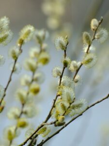 Могилів-Подільський Онлайн