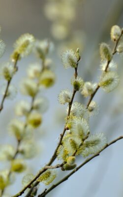 Могилів-Подільський Онлайн