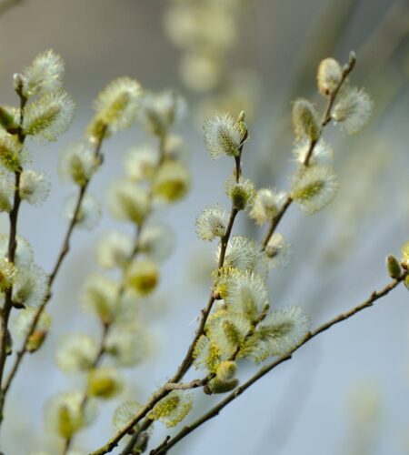 Могилів-Подільський Онлайн