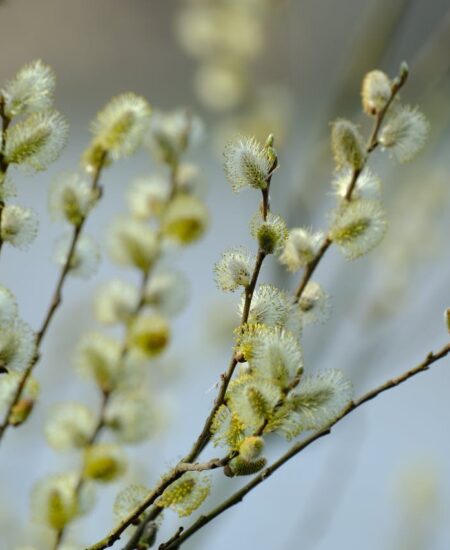 Могилів-Подільський Онлайн