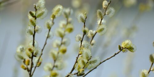 Могилів-Подільський Онлайн