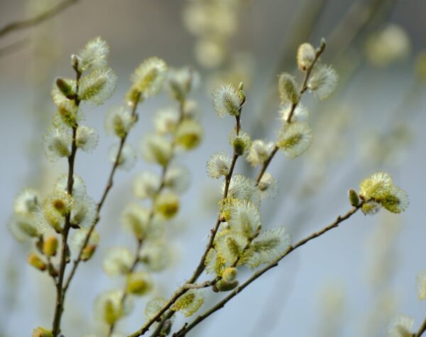 Могилів-Подільський Онлайн