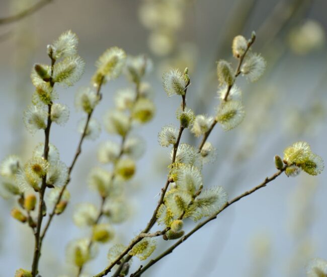 Могилів-Подільський Онлайн