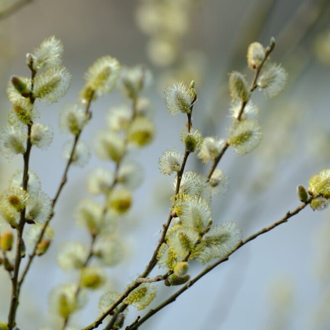 Могилів-Подільський Онлайн