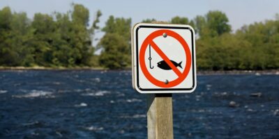 Могилів-Подільський Онлайн