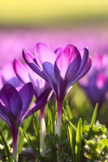 Могилів-Подільський Онлайн