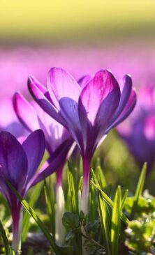 Могилів-Подільський Онлайн