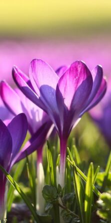 Могилів-Подільський Онлайн