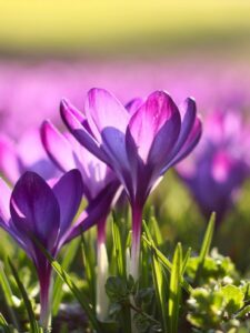 Могилів-Подільський Онлайн