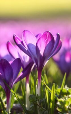 Могилів-Подільський Онлайн