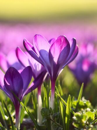 Могилів-Подільський Онлайн