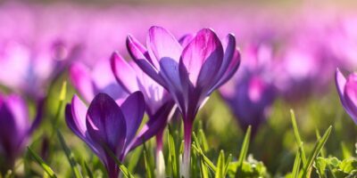 Могилів-Подільський Онлайн