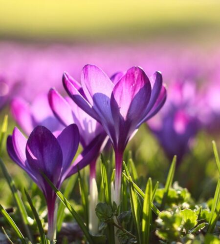 Могилів-Подільський Онлайн