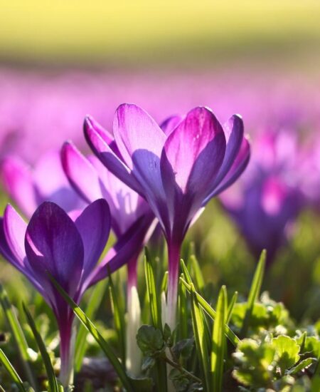 Могилів-Подільський Онлайн