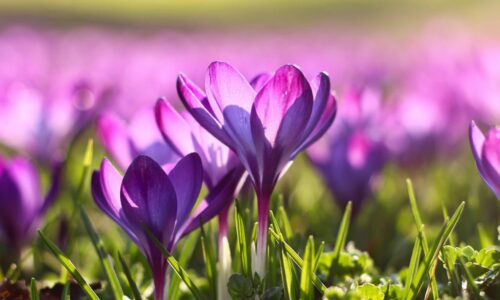 Могилів-Подільський Онлайн