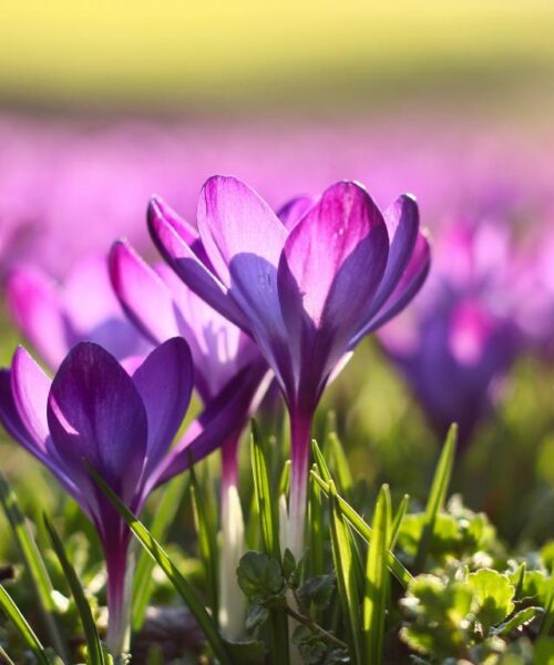 Могилів-Подільський Онлайн