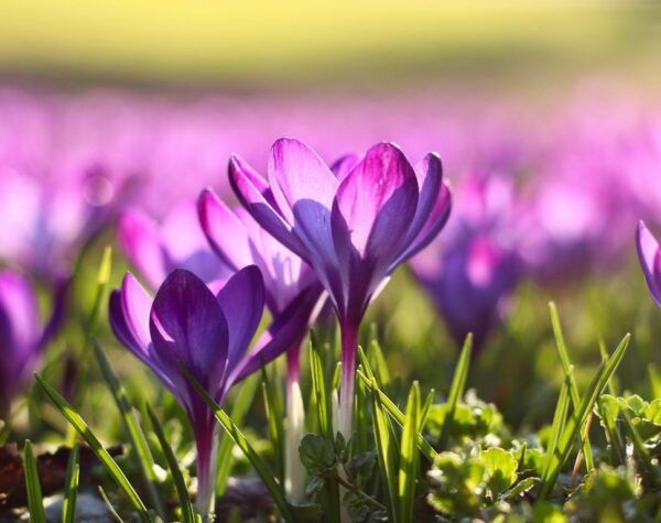 Могилів-Подільський Онлайн