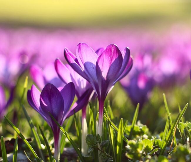 Могилів-Подільський Онлайн