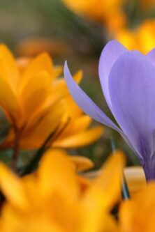 Могилів-Подільський Онлайн