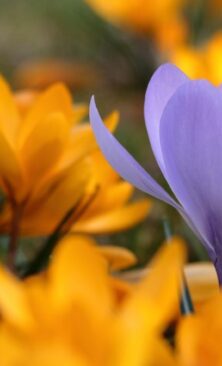 Могилів-Подільський Онлайн