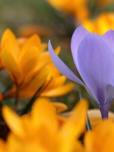 Могилів-Подільський Онлайн