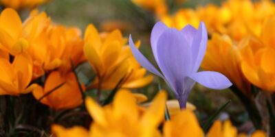 Могилів-Подільський Онлайн